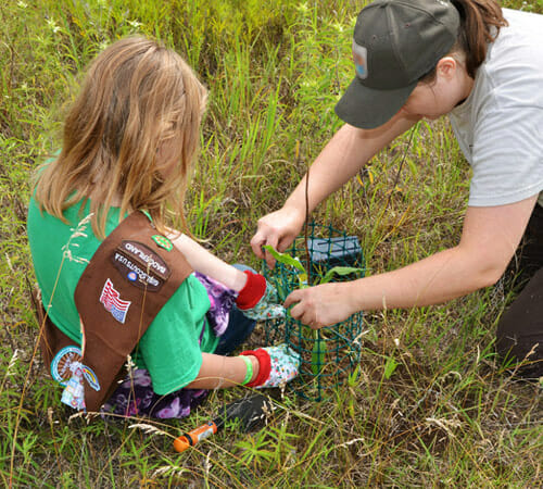 scouts-1