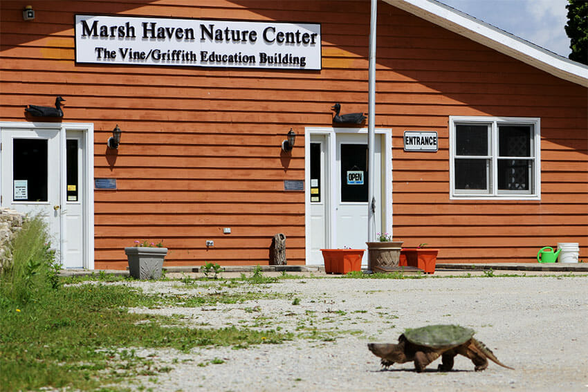 Vine/Griffith Education Building with animal walking in foreground