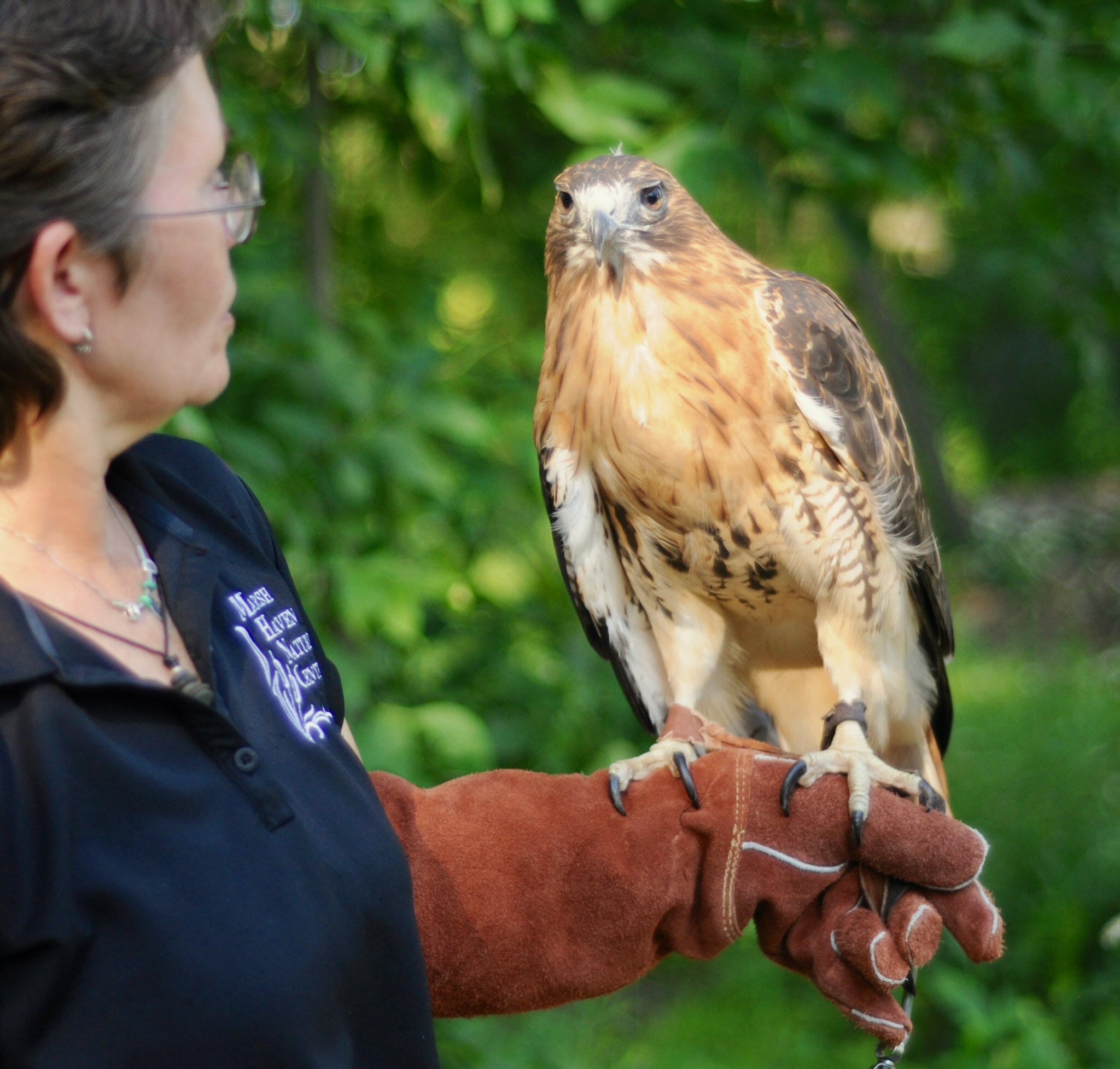 Birds of Prey Program